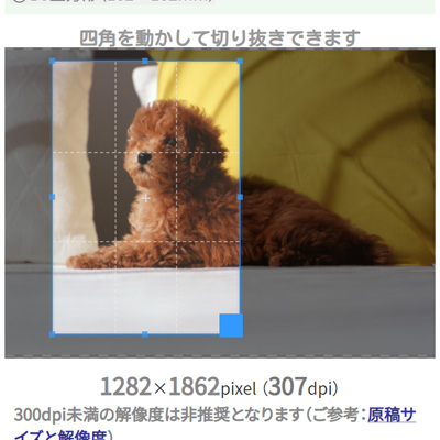 原稿画像リサイズ（マニュアル）